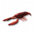 "Crawfish" icon