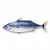"Skipjack Tuna" icon
