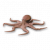"Octopus" icon