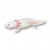 "Axolotl" icon