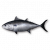 "Bluefin Tuna" icon