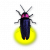 "Firefly" icon