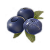 "Blueberry" icon