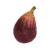"Fig" icon