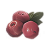 "Raspberry" icon