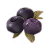 "Ripened Blueberry" icon