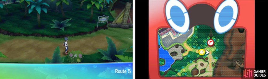 Route 5 North Akala Island Pokémon Ultra Sun Moon Gamer Guides