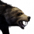 "Black Bear" icon