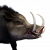 "Vanir Savage Boar" icon