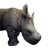 "Rhino Calf" icon