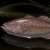 "Phoenix Bass" icon