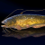 "Lucian Catfish" icon