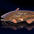 "Spotted Catfish" icon