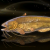 "Golden Catfish" icon