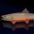 "Maiden Brook Trout" icon