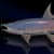 "Nebula Salmon" icon