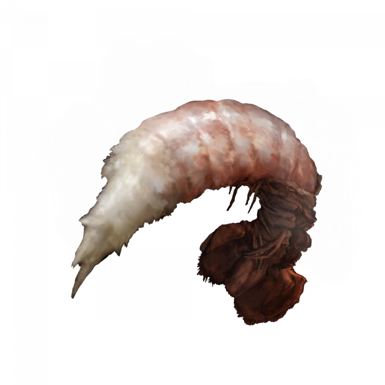 Boiled Prawn Elden Ring Consumables Items Gamer Guides