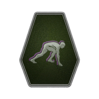 Icon for <span>Fitness - Rank 2</span>