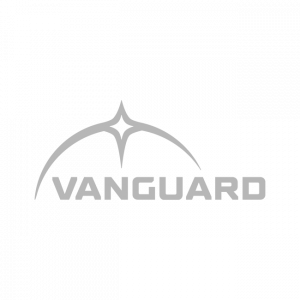 Icon for <span>Vanguard</span>