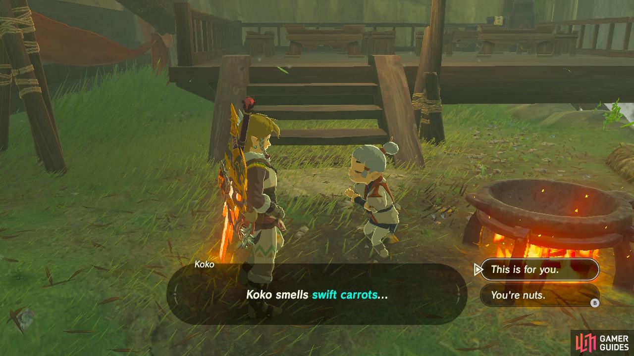 Koko's Kitchen / Sidequests / The Legend of Zelda: Breath of the Wild ...