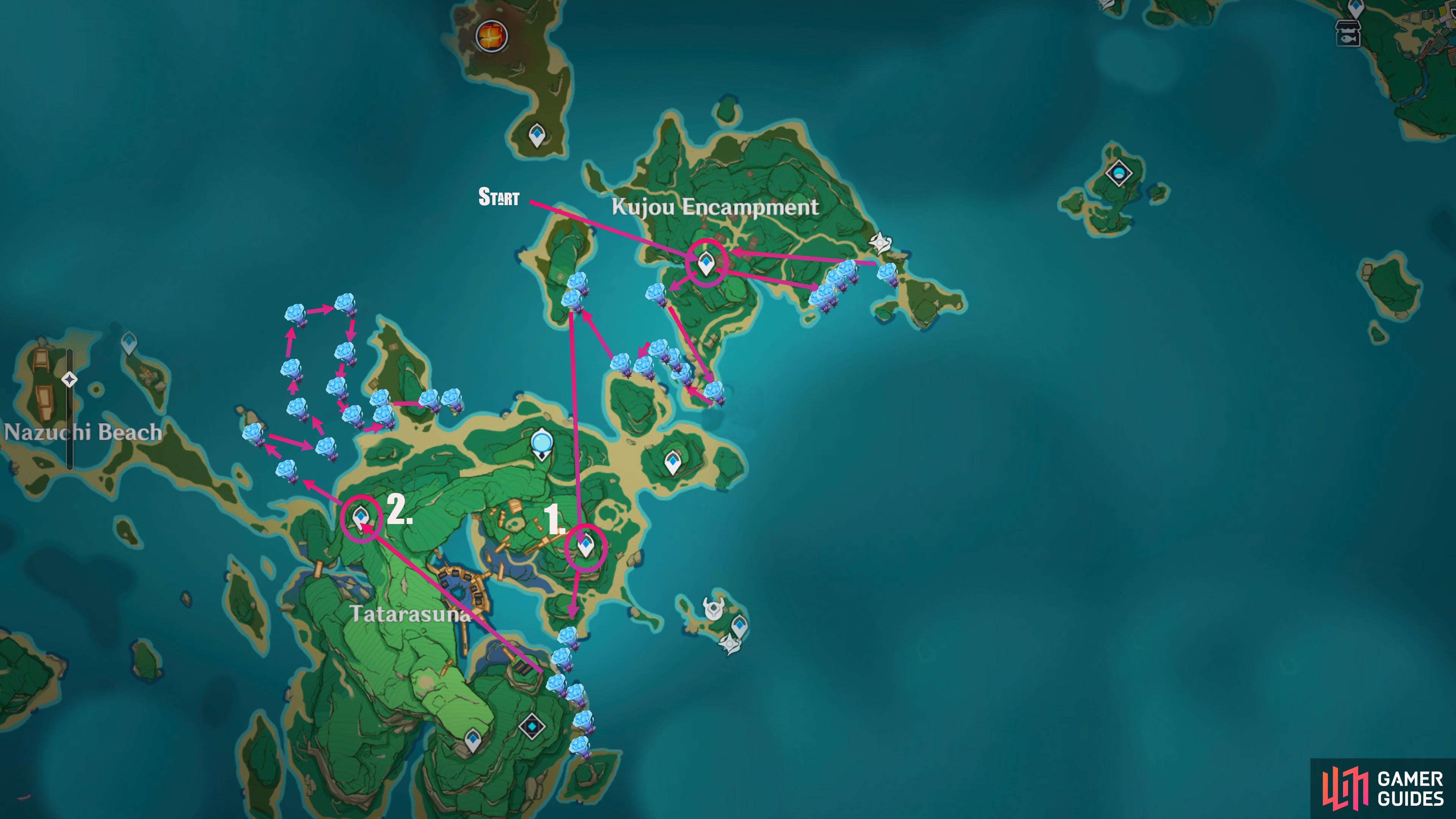 Sea ganoderma farming route