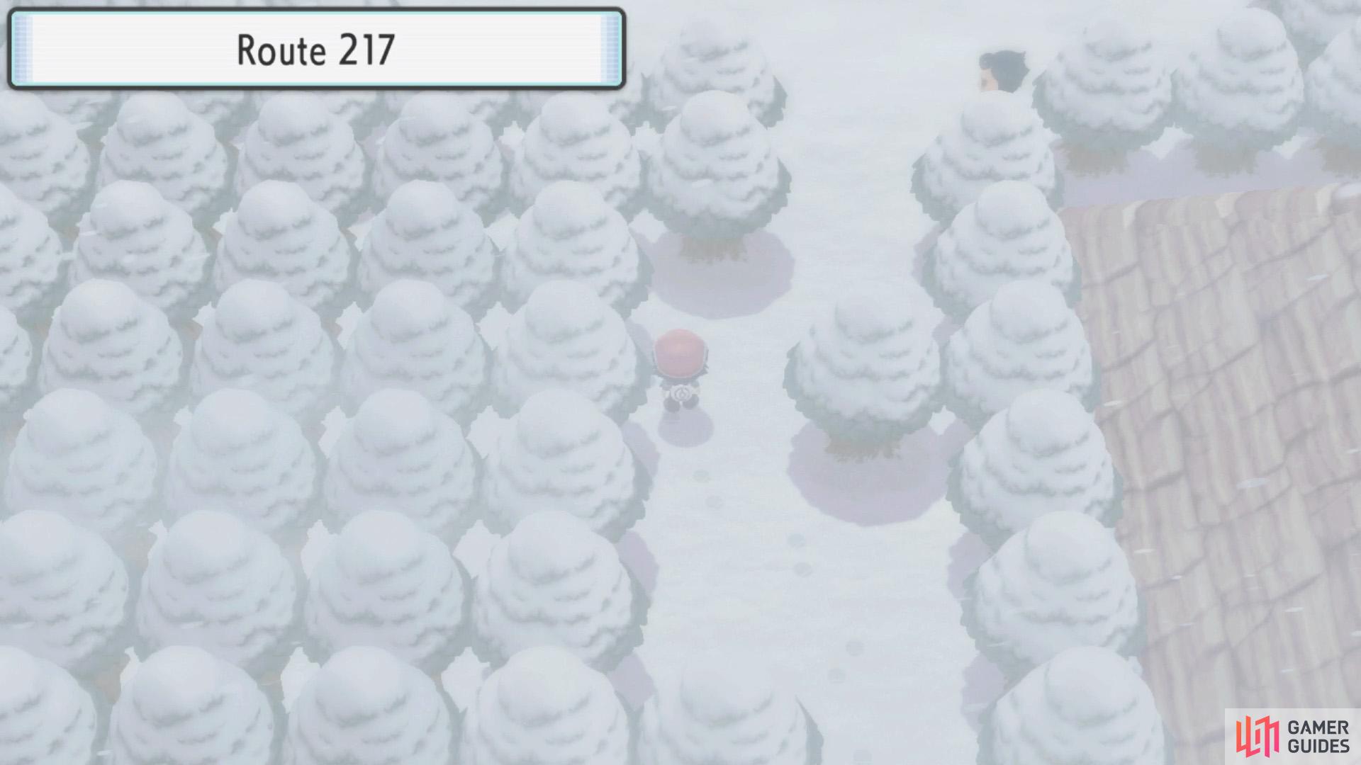 Route 217 Encounters Items Icicle Badge Walkthrough Pok mon Route 217 Encounters Items Icicle Badge Walkthrough Pok mon