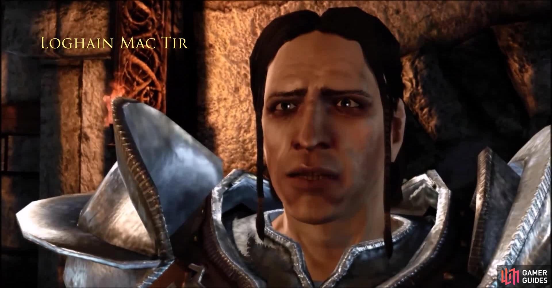 dragon age origins loghain