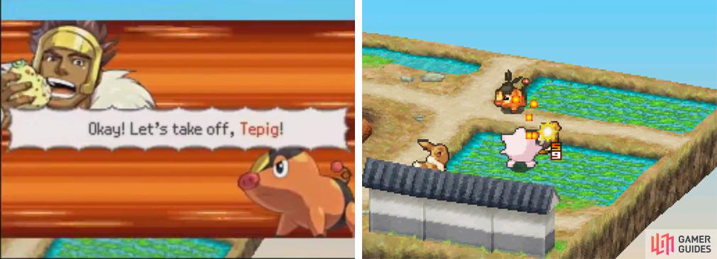 Let’s get this fight going: Eevee and Jigglypuff fighting against Tepig.