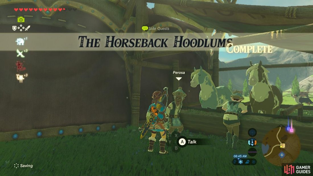 The Horseback Hoodlums - Lake Region - Side Quests | The Legend of ...