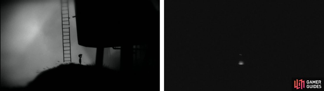 When you reach the ladder (left), instead of going up, head into the passage to the right. Follow this through the darkness until you reach the egg (right).