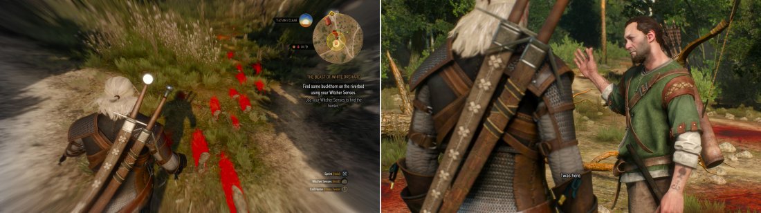 where to get white gull witcher 3