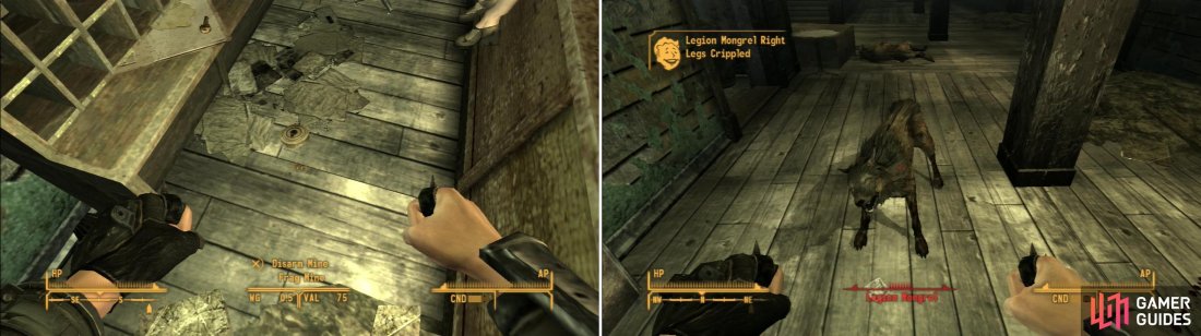 fallout new vegas cold cold heart