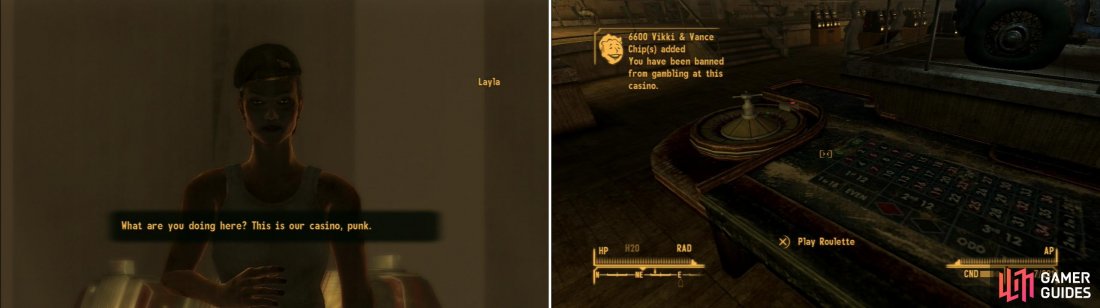 fnv i fought the law