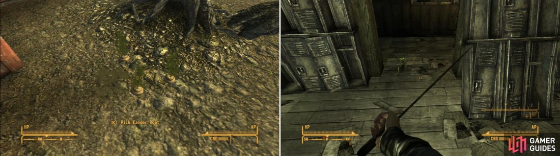 The Goodsprings Tutorial Getting Started In The Mojave Walkthrough Fallout New Vegas Gamer Guides