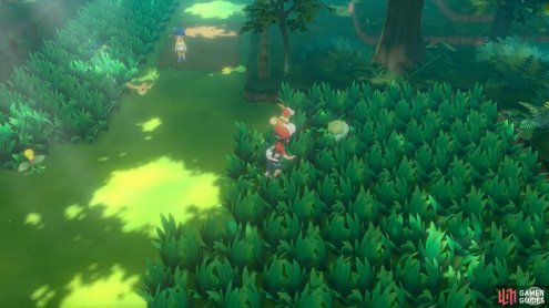 Pokémon Lets Go Gamer Guides