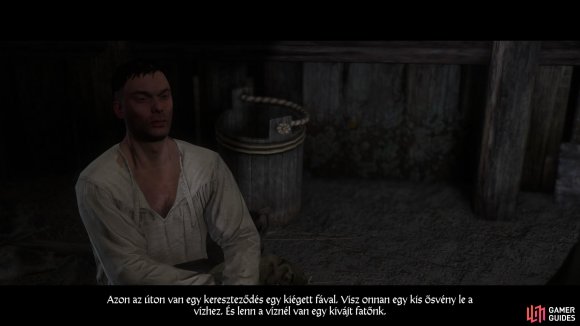 kingdom come deliverance lost in translation