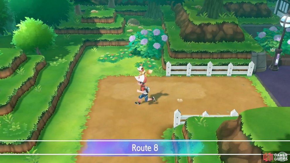 Pokémon Lets Go Gamer Guides