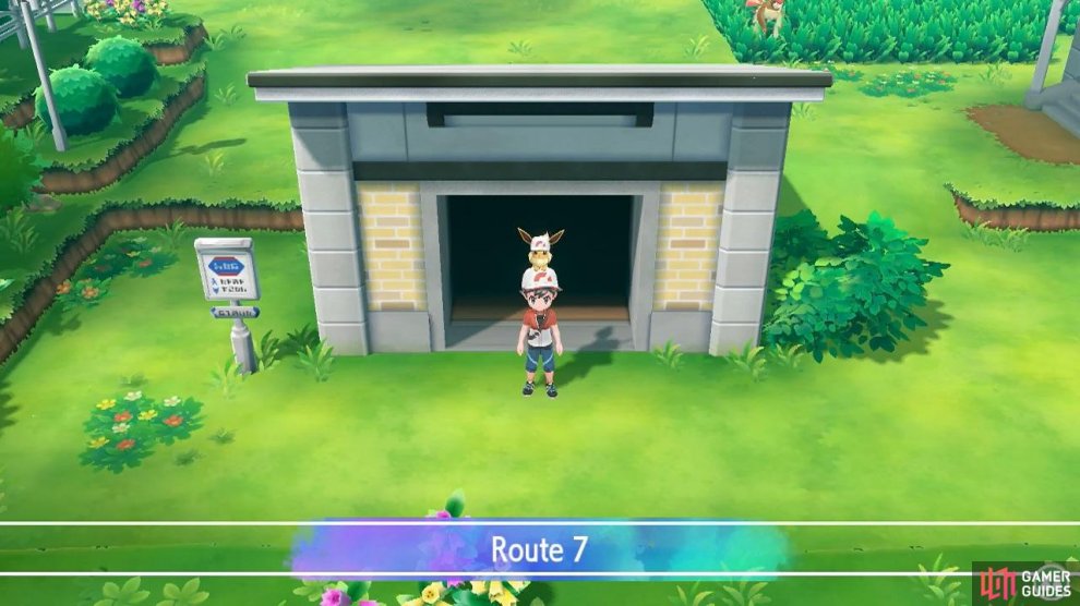 Pokémon Lets Go Gamer Guides