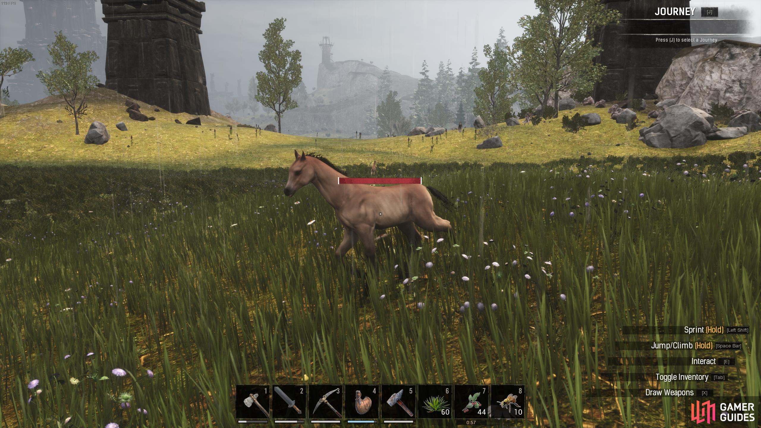 Horse (Pet) - Conan Exiles Database | Gamer Guides®