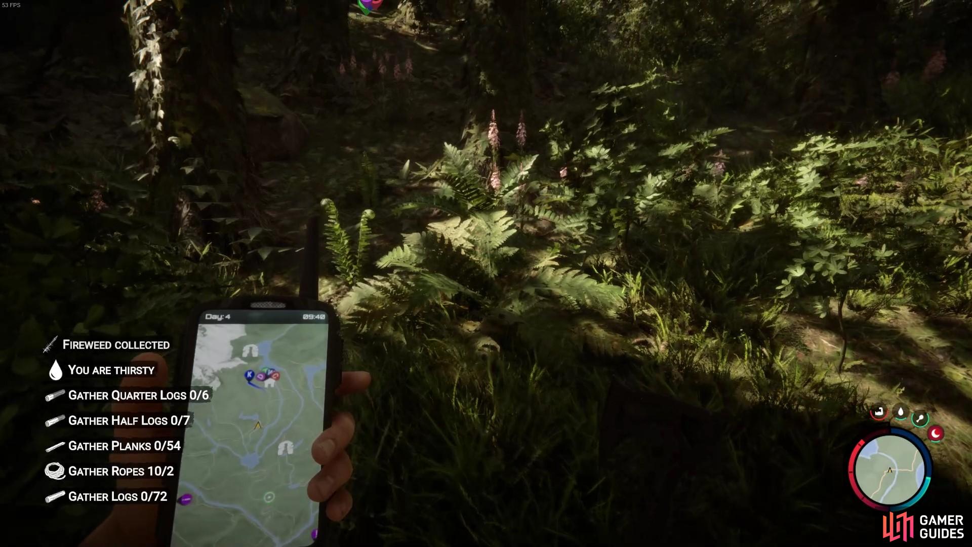 Where to Find Fireweed in Sons of the Forest