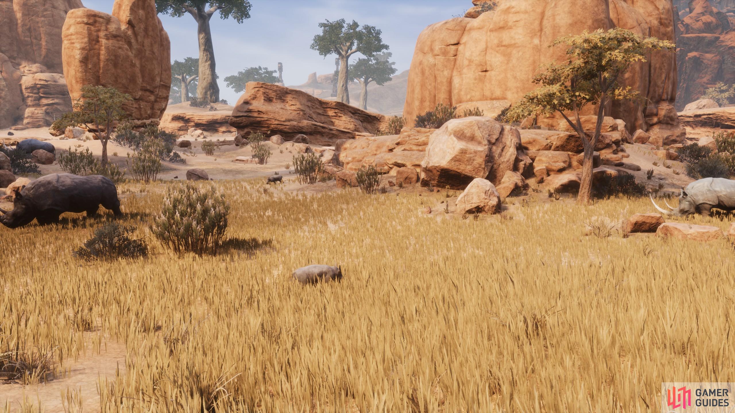 Rhino Calf - Conan Exiles Database | Gamer Guides®