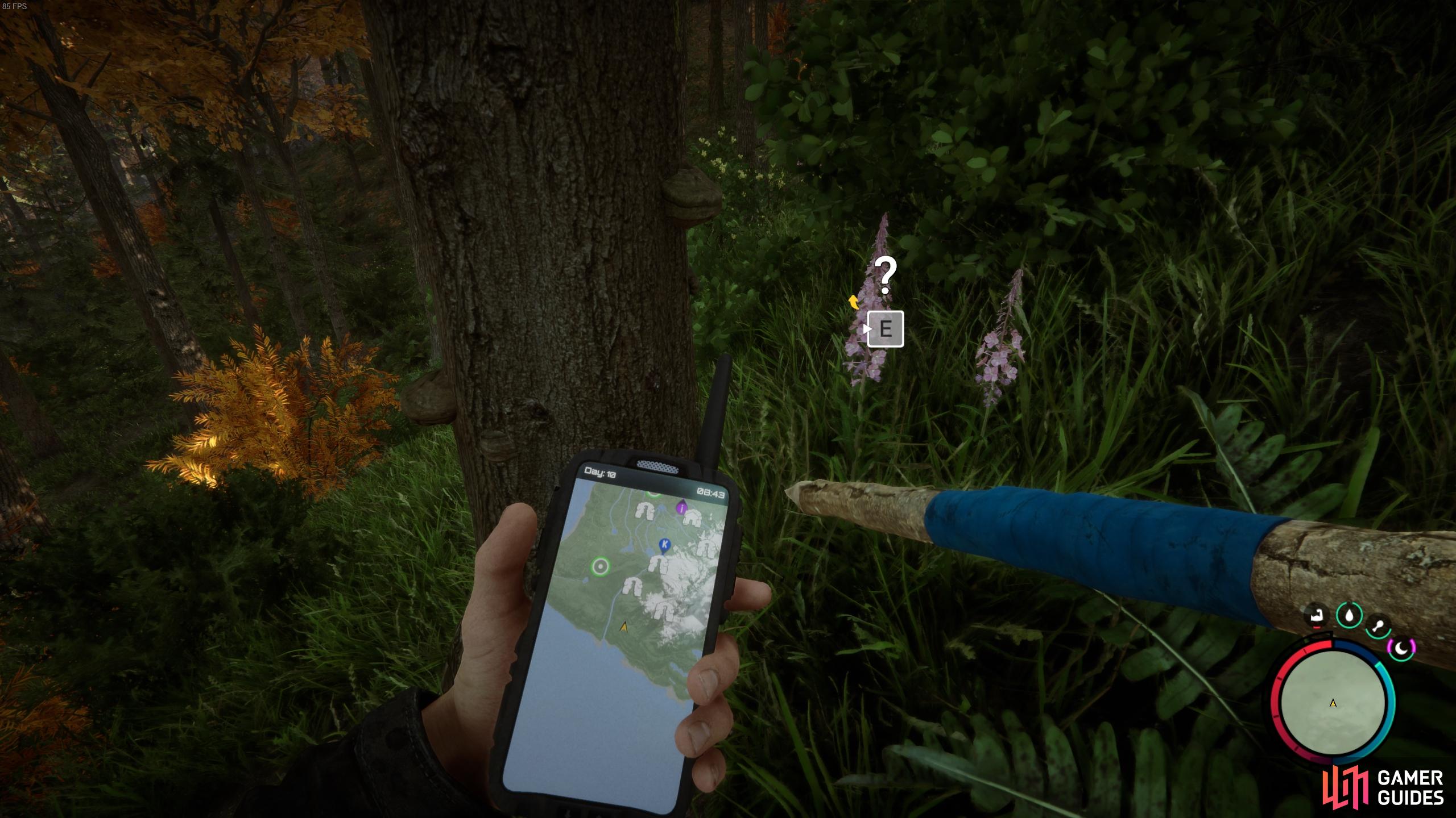 Where to Find Fireweed in Sons of the Forest