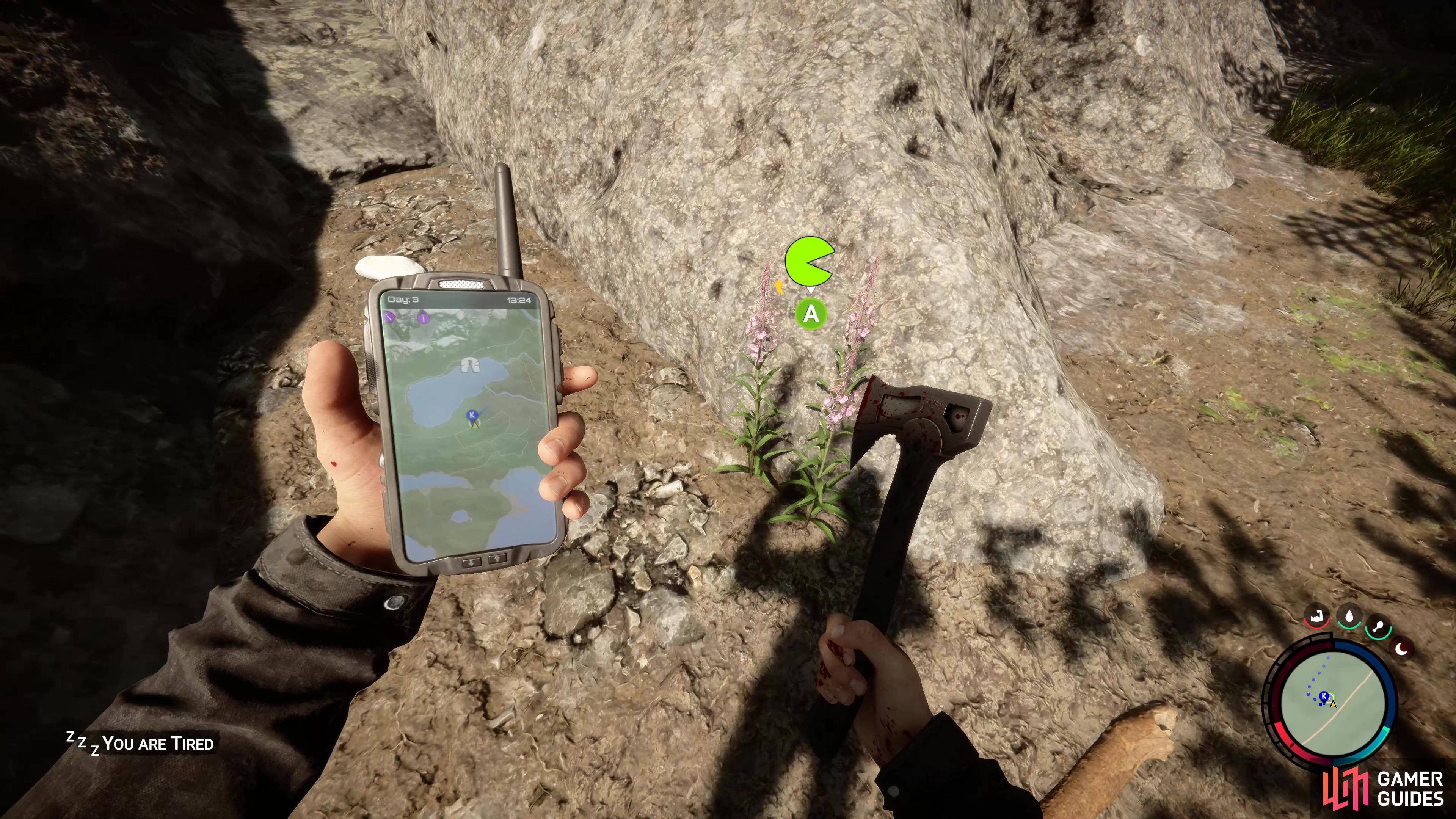 Where to Find Fireweed in Sons of the Forest