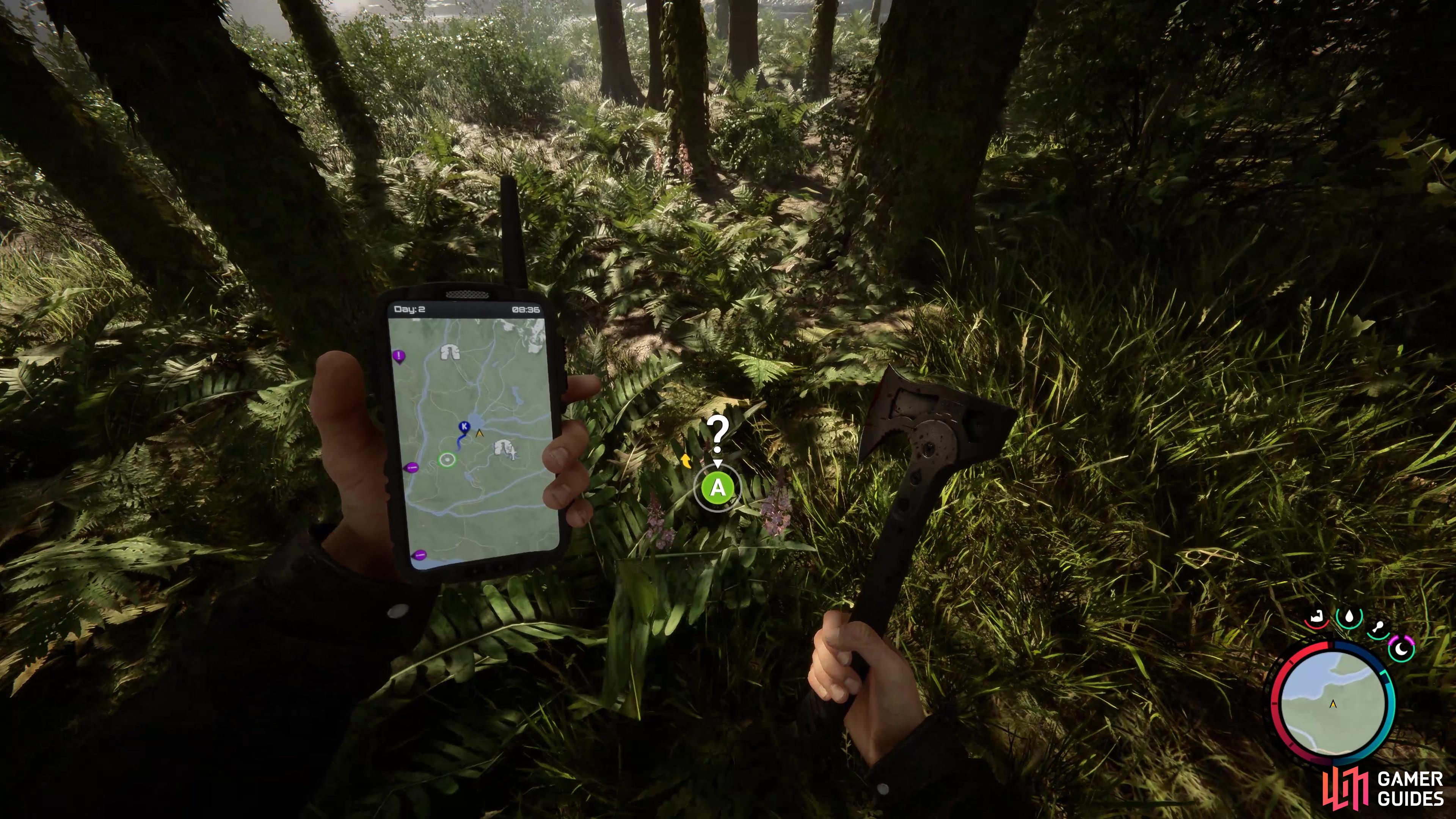 Where to Find Fireweed in Sons of the Forest