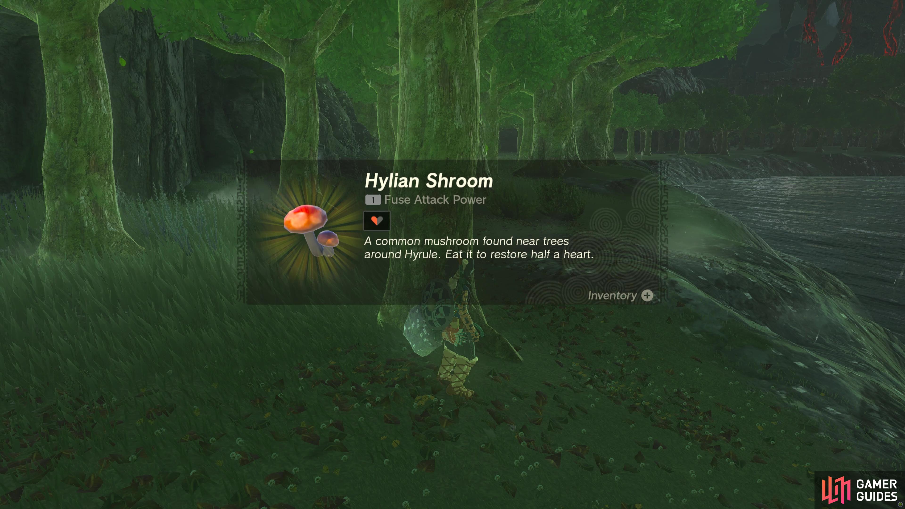 Hylian Shroom - The Legend of Zelda: Tears of the Kingdom Database ...