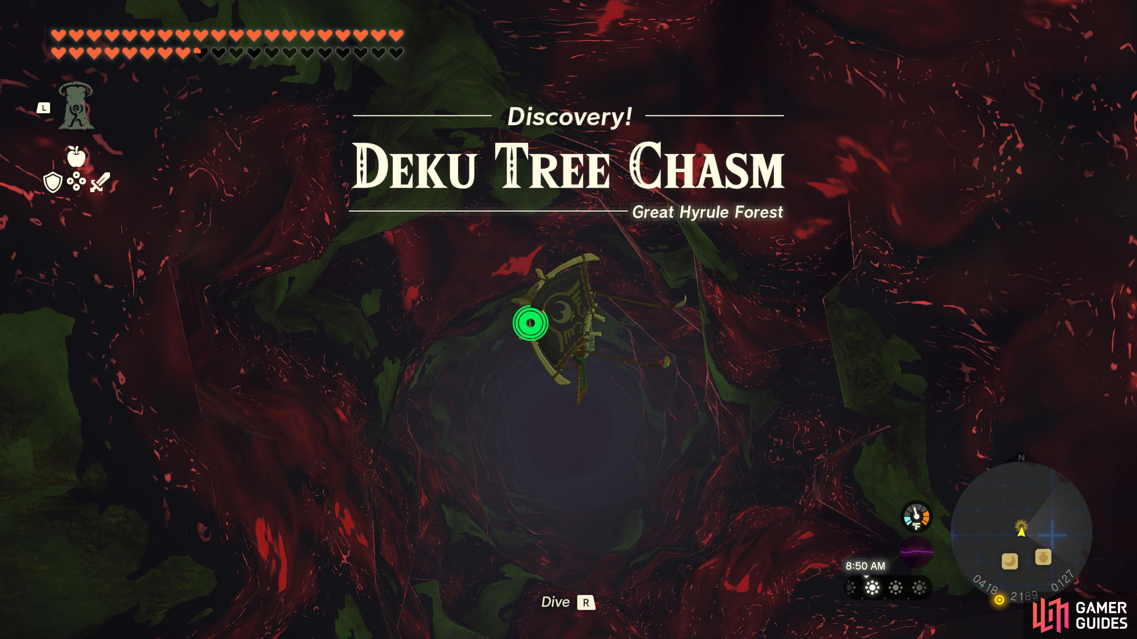 Zelda Wind Waker Deku Tree Map