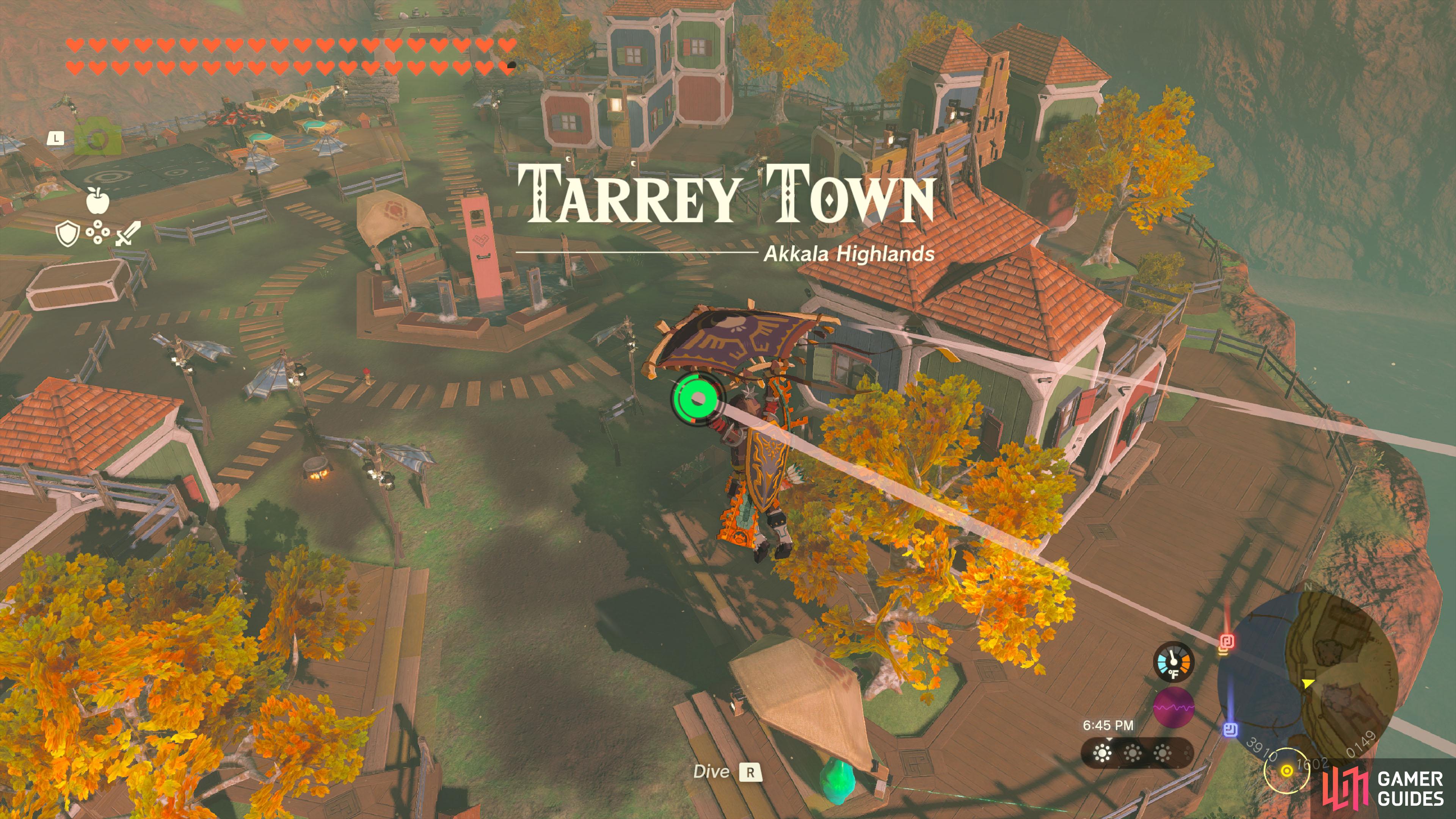 Tarrey Town - The Legend of Zelda: Tears of the Kingdom Database ...