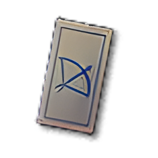 Item icon