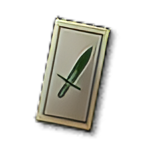 Item icon