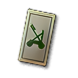 Item icon